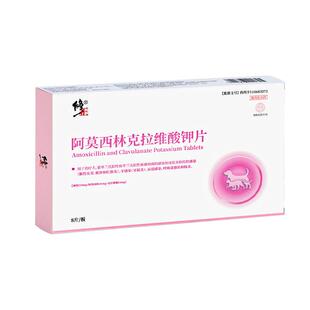 修正阿莫西林克拉维酸钾猫咪速诺消炎片宠物感冒药狗狗猫鼻支咳嗽