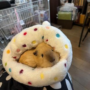 仓鼠荷兰猪躲避窝冬季 保暖睡窝豚鼠龙猫蜜袋鼯棉窝小宠过冬用品