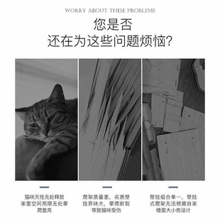 宠贝亚猫爬架挂墙面墙壁式 新款 猫墙猫窝猫树壁挂式 全实木猫抓墙猫