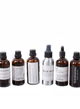 北欧风ins伊索aesop茶色玻璃摆件