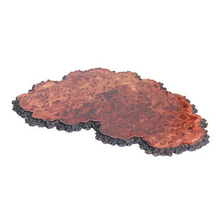 原木瘿木瘤板实木干泡茶盘红木根雕随形盆景底座中式装饰花器木垫