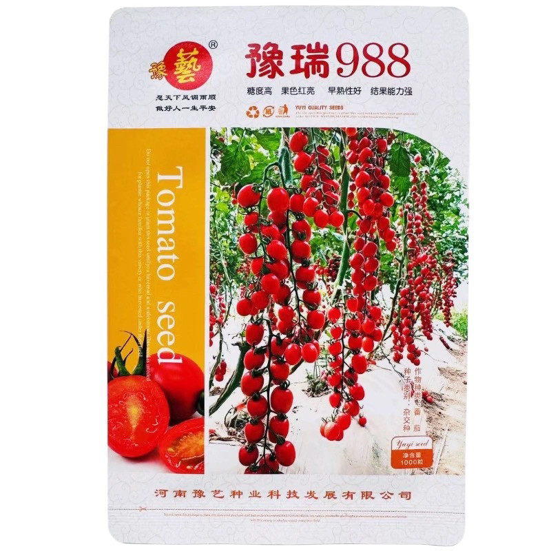 豫艺豫瑞988小番茄种子特甜圣女果高端精品樱桃番茄种籽同釜山88