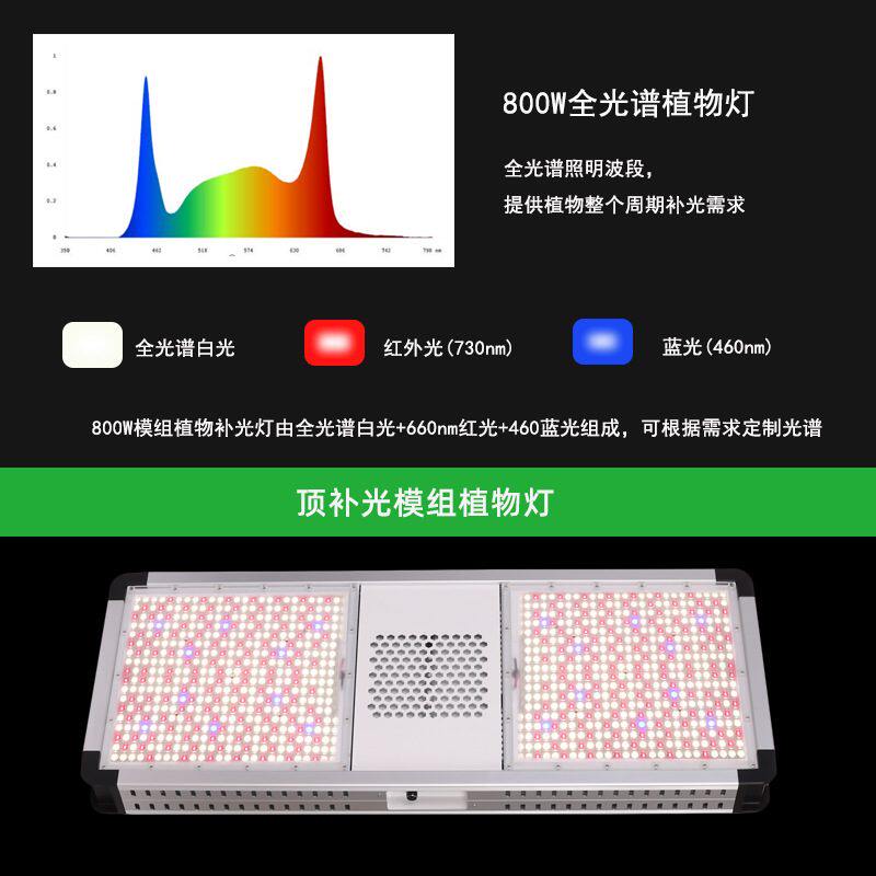 现货全光谱植物灯800W室内顶棚种植补光灯led双模组植物生长灯厂