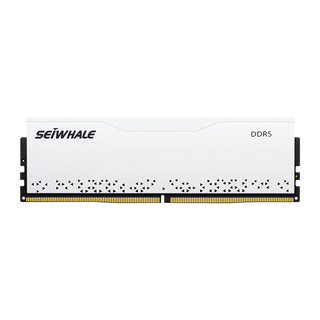 枭鲸审判者DDR5台式机内存条8G/16G/32G 4800 5600 6000 海力士