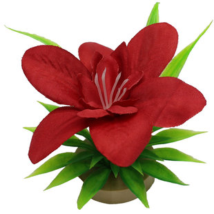 酒店西餐牛排冷菜摆盘装饰创意点缀小花酒席中餐菜品凉菜围边花草