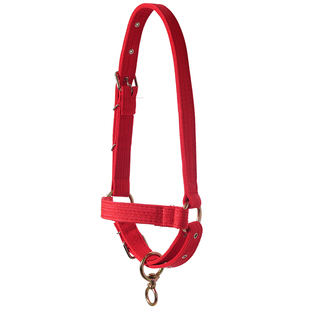 牛龙套 牛龙套笼头新款2023款全套大牛头套 牛龙头笼头可调秃头