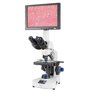 奥斯微生物显微镜专业看细菌XSP-H1600高清高倍2000倍生物实验室显微镜儿童科学专业级细胞看精子初中生专用