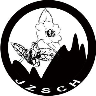 安徽金寨县大别山2025年野生新绿茶野生农家木炭火烘半斤散装包邮