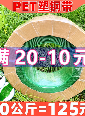 PET塑钢打包带 塑料手工机用带条绿色1608编织捆扎捆绑包装带批发