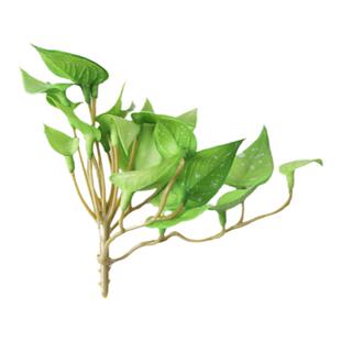 仿真植物迷你叶子铜钱草红掌叶家居装饰绿植客厅餐桌摆设造景道具