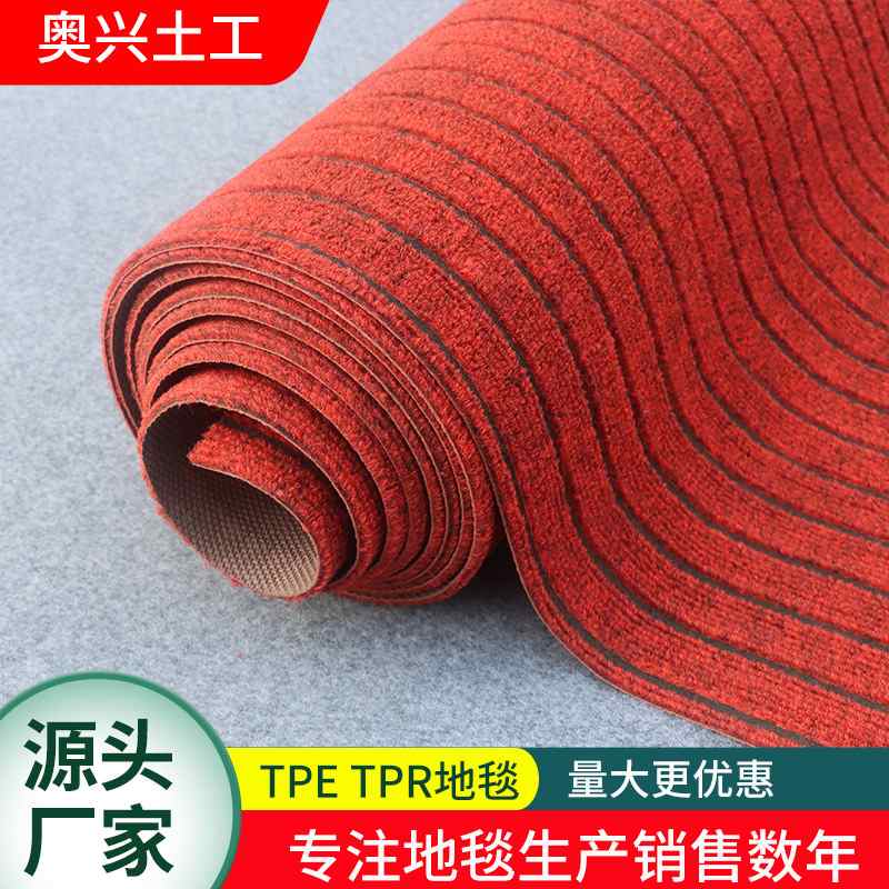 TPRTPE条纹地毯吸水防滑地毯双条纹条纹七办公室地毯入户酒店