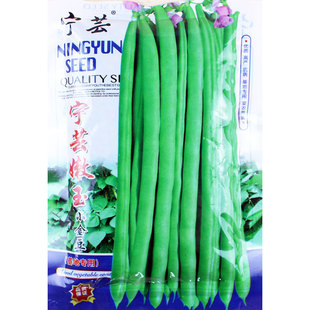 宁芸嫩玉小金豆种子高产菜种青扁豆种籽四季豆蔬菜孑豆种豆角籽种