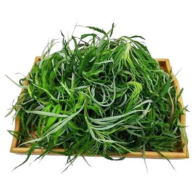 柳蒿芽东北特产山野菜野生柳芽柳蒿山菜保鲜新鲜袋装新采摘海拉尔