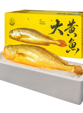 【6条超大2斤/条】新捕船供