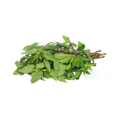 云南新鲜九层塔金不换泰式打抛饭