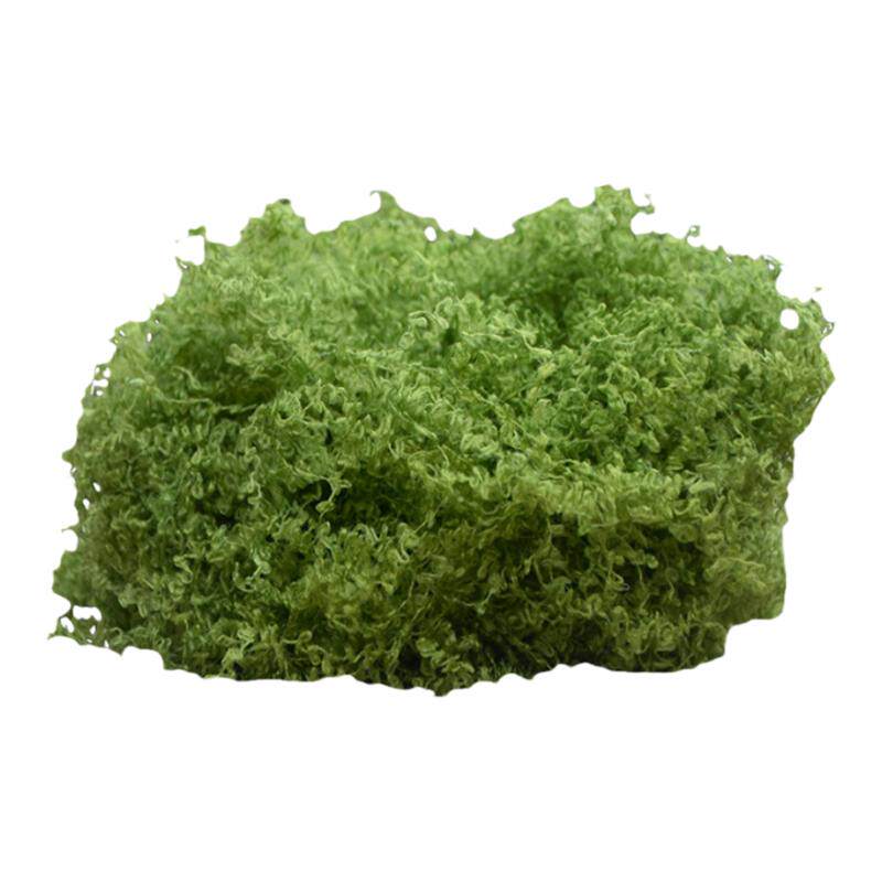 仿真苔藓青苔微景观摆件草坪盆景