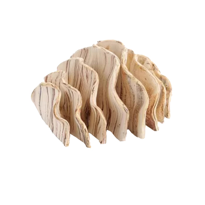 aquanetta水族生物花式躲避扇