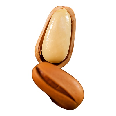 东北开口松子2025新货特大颗粒特产级手剥年货坚果仁炒货零食批发