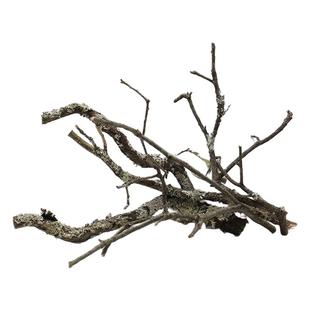 黄梨枝造景沉木树枝原生缸南美缸专用装饰鹿角枝条黄栎木天然枯木