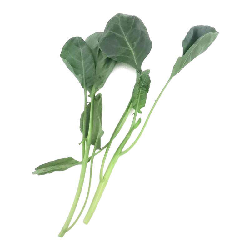 【老一生鲜】新鲜芥兰苗500g芥兰苗清炒凉拌潮汕火锅蔬菜芥蓝
