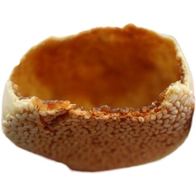 正宗四川特产巴中长赤麻饼老式手工追剧零食提红糖空心芝香脆