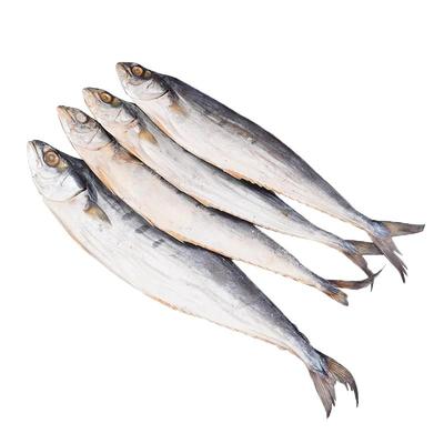 北海马鲛鱼干2斤鲅鱼干北海特产梅香蓝点海产品新鲜咸鱼干货海鱼