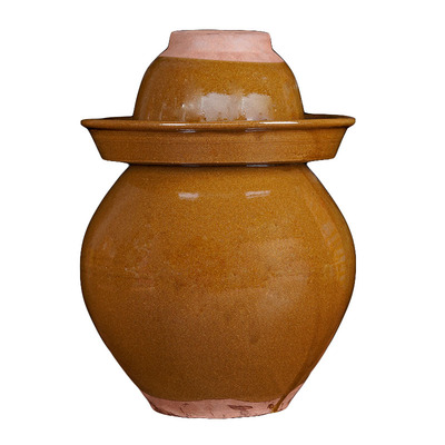 四川泡菜坛子家用大号泡菜缸商用