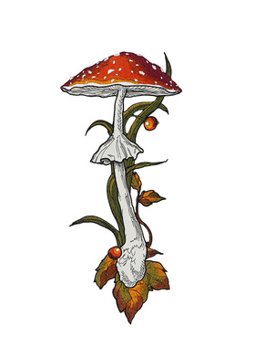 咖沫趣味蘑菇重工刺绣免打结领带