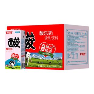 菊乐酸乐奶250ml*12盒牛奶礼盒装送礼官方旗舰店整箱早餐牛奶儿童