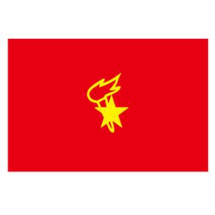 标准少先队旗少先队员大队旗中队旗小队旗小学生中学生小中旗杆大号旗帜活动室先锋队少先队员如队旗