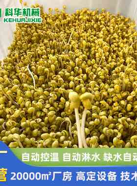 厂家热销科华100斤商用豆芽机 小型全自动生豆芽机 教技术