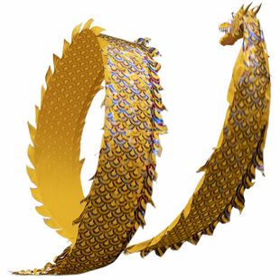 舞龙彩带健身健身龙带甩彩带舞龙甩龙带龙头彩带耍龙中老年人健身