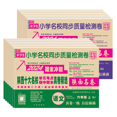 2027小学十大名校期末冲刺一百分