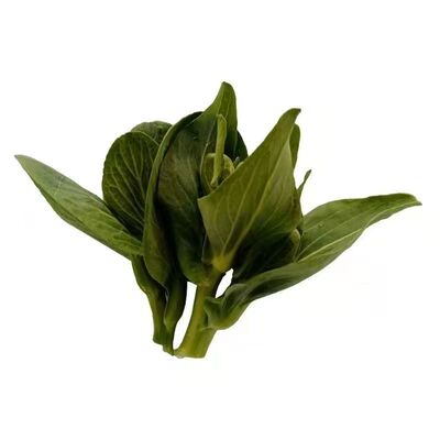 青菜苔新鲜苏北露天霜冻菜心