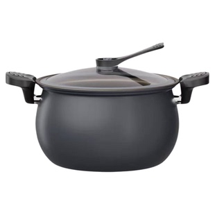 坂田川微压锅钛不沾炖锅煮粥加厚双耳压力锅家用电磁炉煤气灶通用