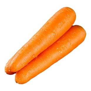 山东燎原绿色胡萝卜生吃红萝宝宝健康营养蔬菜辅食清甜拇指萝卜