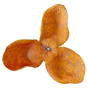 新会东甲陈皮2025年大红皮陈皮干泡水茶橘子皮柑皮圈枝茶枝柑新货