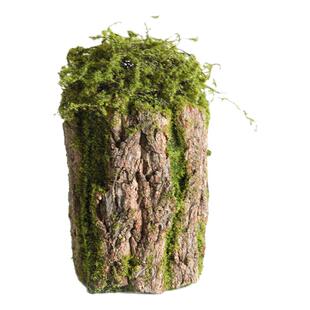 仿真绿植苔藓树皮假树桩森系幼儿园田园风青苔摆件造景装饰可插花
