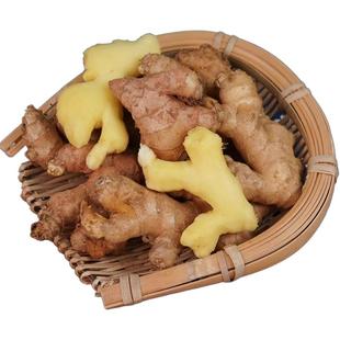 正宗云南小黄姜5斤新鲜罗平小块生姜现挖高山老黄姜农家自种月子