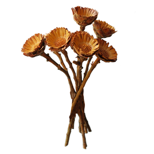 黄色系干花花束天然风干真花客厅装饰班克木芦苇黄金球紫罗兰雏菊