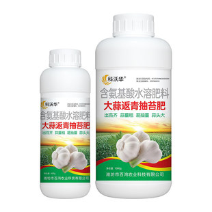 科沃华大蒜返青抽苔肥出苔齐蒜头大蒜韭苔粗专用含氨基酸水溶肥料