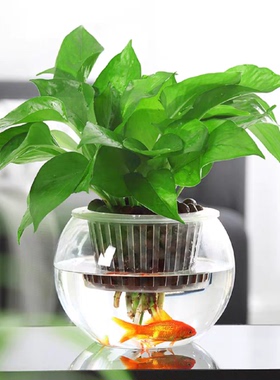 创意水培植物透明亚克力花瓶容器绿萝花盆养花绿植器皿防摔鱼缸大