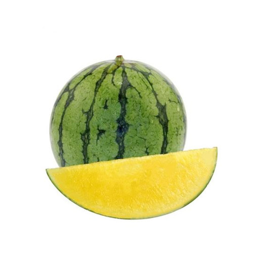 西瓜种子无籽西瓜种籽黑皮黄瓤特大巨型春夏季种植水果种孑早熟