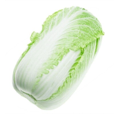 「夏阳白菜种籽」白菜种夏季大白菜耐高温耐热农家蔬菜种孑