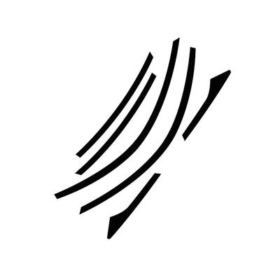 十代雅阁思域黑武士亮条贴纸