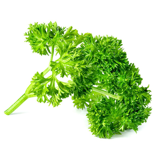 新鲜番西法国香芹荷兰欧芹西洋芹蔬菜西餐厅摆盘装饰用品顺丰包邮