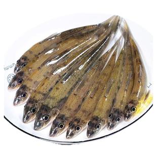千岛湖正宗生态棍子鱼钉子鱼小杂鱼活鱼现杀顺丰包邮新鲜1斤/包