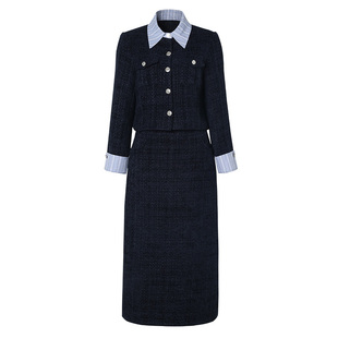 海青蓝 套装女2025新款冬装高级设计感小众女装半身裙高端两件套