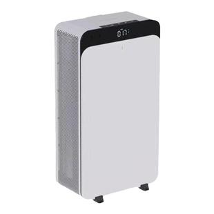 Blueair/布鲁雅尔空气净化器家用除甲醛除菌全屋净化空气飓星CP9i
