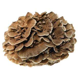 庆元灰树花干货无泥沙灰树菇舞茸茶菊花菌500g栗蘑新鲜灰树花包邮